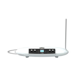 MOOG THEREMINI